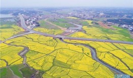 汨罗最新爆料新闻网,揭秘背后惊人真相